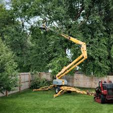 Reliable Kettle Falls, WA Tree Care Solutions
