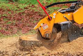 Lawn Pest Prevention in Kettle Falls, WA